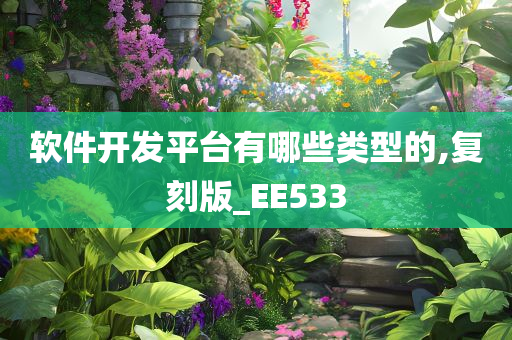 软件开发平台有哪些类型的,复刻版_EE533