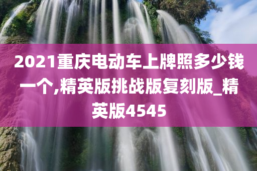 2021重庆电动车上牌照多少钱一个,精英版挑战版复刻版_精英版4545