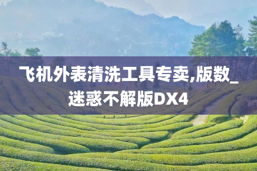 飞机外表清洗工具专卖,版数_迷惑不解版DX4今晚必出三肖2025_2025新澳门精准免费提供·精确判断