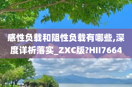 感性负载和阻性负载有哪些,深度详析落实_ZXC版?HII7664