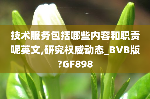 技术服务包括哪些内容和职责呢英文,研究权威动态_BV今晚必出三肖2025_2025新澳门精准免费提供·精确判断B版?GF898