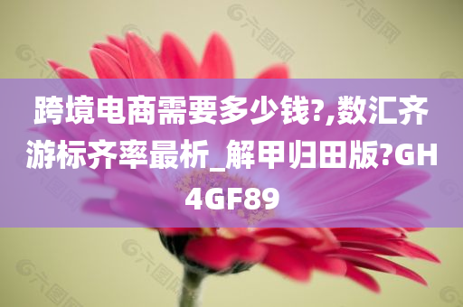 跨境电商需要多少钱?,数汇齐游标齐率最析_解甲归田版?GH4GF89今晚必出三肖2025_2025新澳门精准免费提供·精确判断