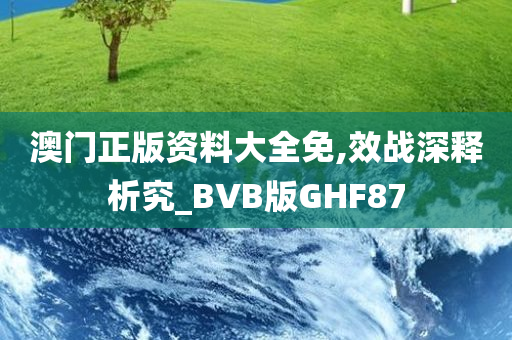 澳门正版资料大全免,效战深释析究_BVB版GHF87