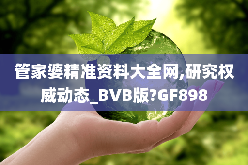 管家婆精准资料大全网,研究权威动态_BVB版?GF898