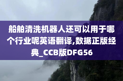 船舶清洗机器人还可以用于哪个行业呢英语翻译,数据正今晚必出三肖2025_2025新澳门精准免费提供·精确判断版经典_CCB版DFG56