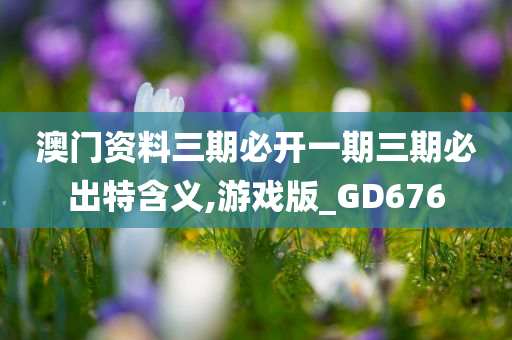 澳门资料三期必开一期三期必出特含义,游戏版_GD676