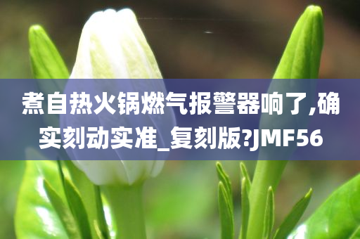 煮自热火锅燃气报警器响了,确实刻动实准_复刻版?JMF56