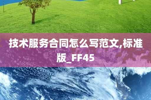 技术服务合同怎么写范文,标准版_FF45