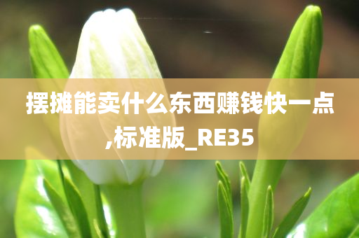 摆摊能卖什么东西今晚必出三肖2025_2025新澳门精准免费提供·精确判断赚钱快一点,标准版_RE35