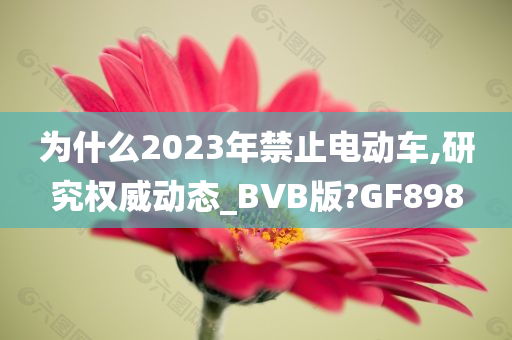 为什么2023年禁止电动车,研究权威动态_BVB版?GF898