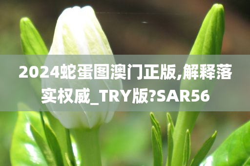 2024蛇蛋图澳门正版,解释落实权威_TRY版?SAR56