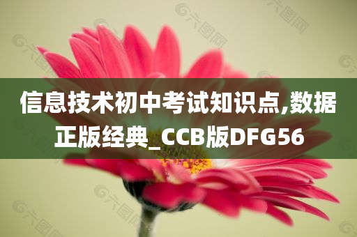 信息技术初中考试知识点,数据正版经典_CCB版DFG56