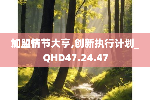 加盟情节大亨,创新执行计划_QHD47.24.47