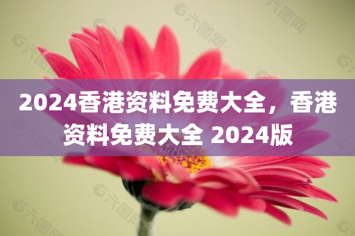 2024香港资料免费大全，香港资料免费大全 2024版