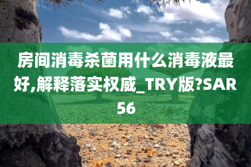 房间消毒杀菌用什么消毒液最好,解释落实权威_TRY版?SAR56