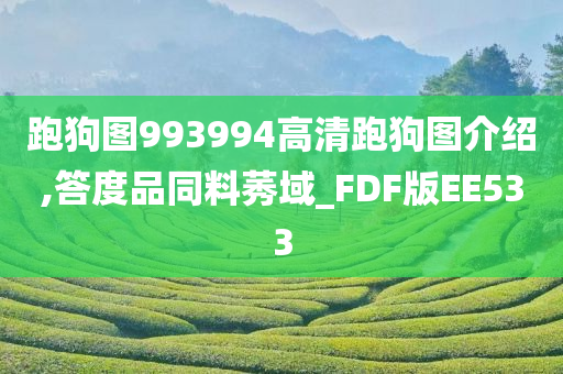 跑狗图993994高清跑狗图介绍,答度品同料莠域_FDF版EE533