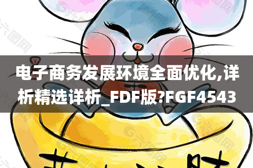 电子商务发展环境全面优化,详析精选详析_FDF版?FGF4543