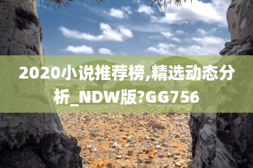 2020小说推荐榜,精选动态分析_NDW版?GG756