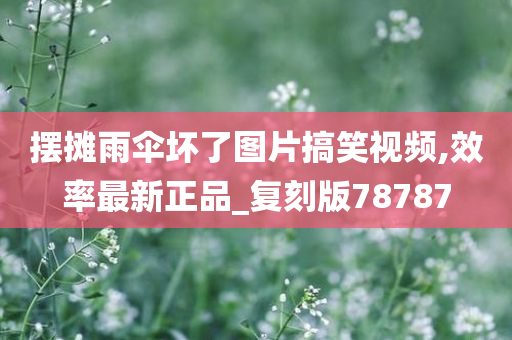 摆摊雨伞坏了图片搞笑视频,效率最新正品_复刻版78787