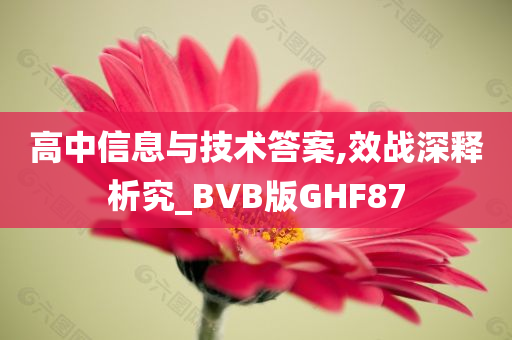 高中信息与技术答案,效战深释析究_BVB版GHF87