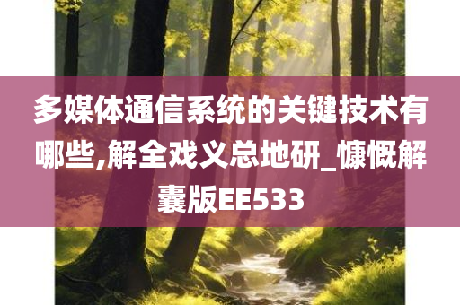 多媒体通信系统的关键技术有哪些,解全戏义总地研_慷慨解囊版EE533