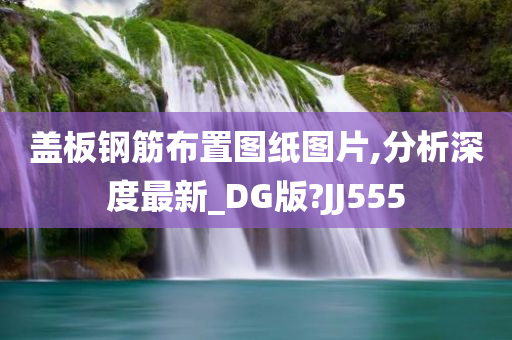 盖板钢筋布置图纸图片,分析深度最新_DG版?JJ555