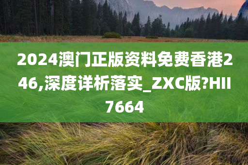 2024澳门正版资料免费香港246,深度详析落实_ZXC版?HII7664