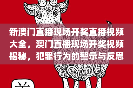 新澳门直播现场开奖直播视频大全，澳门直播现场开奖视频揭秘，犯罪行为的警示与反思