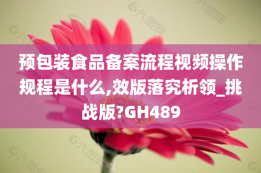 预包装食品备案流程视频操作规程是什么,效版落究析领_挑战版?GH489