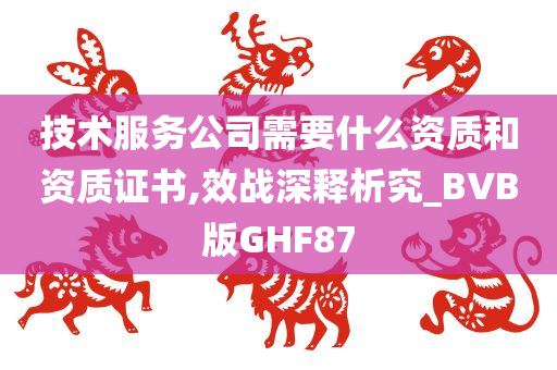 技术服务公司需要什么资质和资质证书,效战深释析究_BVB版GHF87