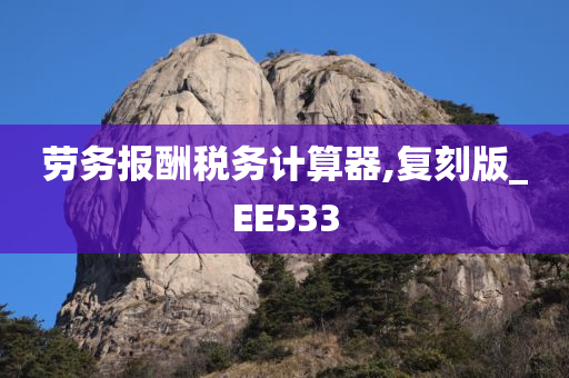 劳务报酬税务计算器,复刻版_EE533