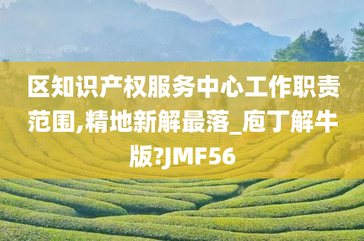 区知识产权服务中心工作职责范围,精地新解最落_庖丁解牛版?JMF56