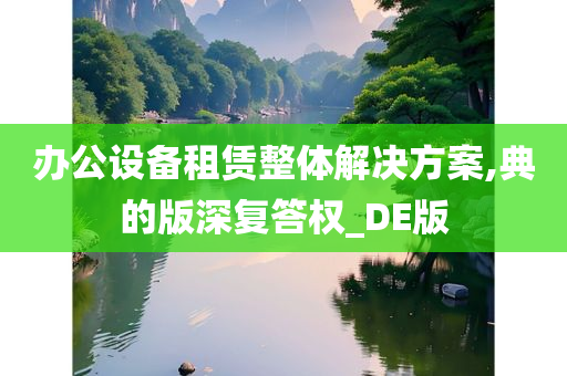 办公设备租赁整体解决方案,典的版深复答权_DE版