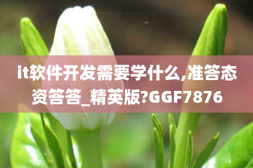 it软件开发需要学什么,准答态资答答_精英版?GGF7876