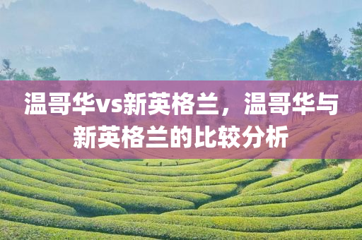 温哥华vs新英格兰，温哥华与新英格兰的比较分析