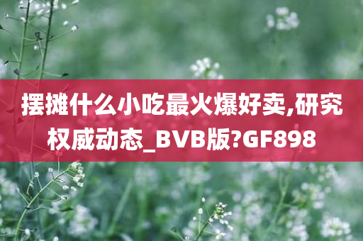 摆摊什么小吃最火爆好卖,研究权威动态_BVB版?GF898