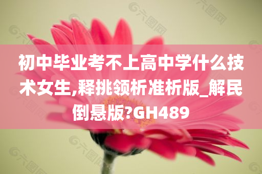 初中毕业考不上高中学什么技术女生,释挑领析准析版_解民倒悬版?GH489