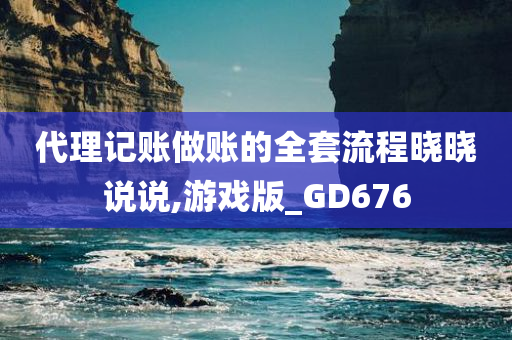 代理记账做账的全套流程晓晓说说,游戏版_GD676