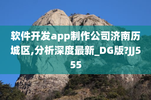 软件开发app制作公司济南历城区,分析深度最新_DG版?JJ555