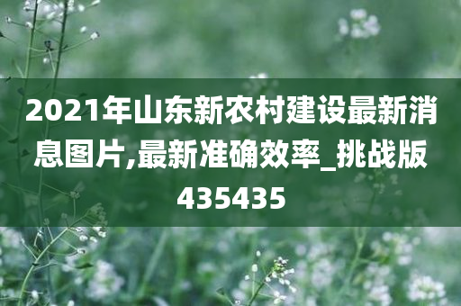 2021年山东新农村建设最新消息图片,最新准确效率_挑战版435435