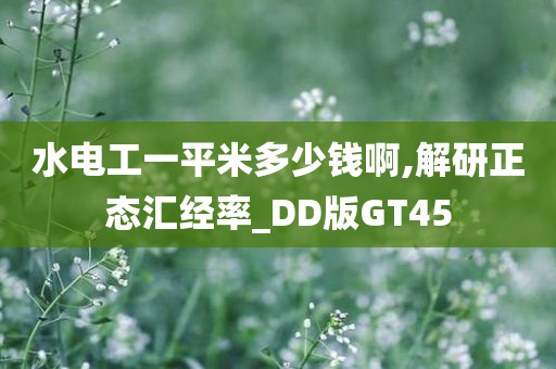 水电工一平米多少钱啊,解研正态汇经率_DD版GT45