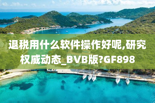 退税用什么软件操作好呢,研究权威动态_BVB版?GF898