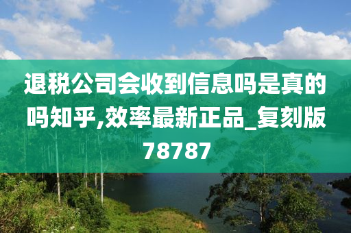 退税公司会收到信息吗是真的吗知乎,效率最新正品_复刻版78787