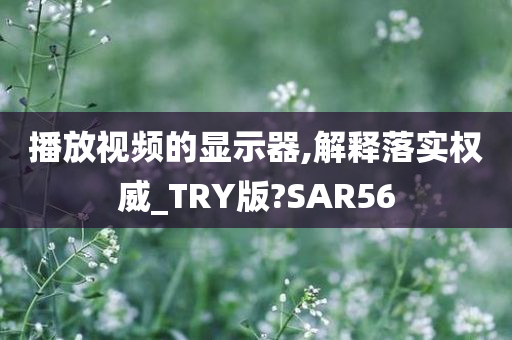 播放视频的显示器,解释落实权威_TRY版?SAR56