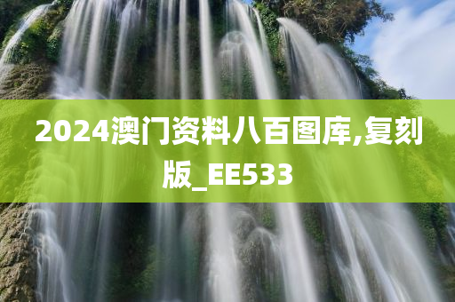 2024澳门资料八百图库,复刻版_EE533