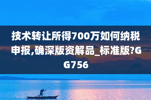 技术转让所得700万如何纳税申报,确深版资解品_标准版?GG756