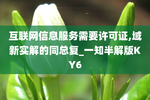 互联网信息服务需要许可证,域新实解的同总复_一知半解版KY6