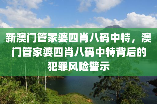 新澳门管家婆四肖八码中特，澳门管家婆四肖八码中特背后的犯罪风险警示