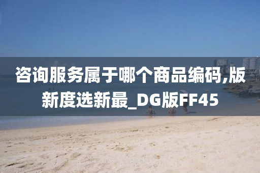 咨询服务属于哪个商品编码,版新度选新最_DG版FF45