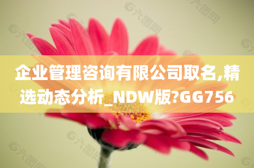 企业管理咨询有限公司取名,精选动态分析_NDW版?GG756